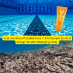 Beach Bum Tallow Sunscreen SPF30 (Best Before 22nd January 2026)