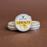 Tallow & Honey Lipbalm (Orange)